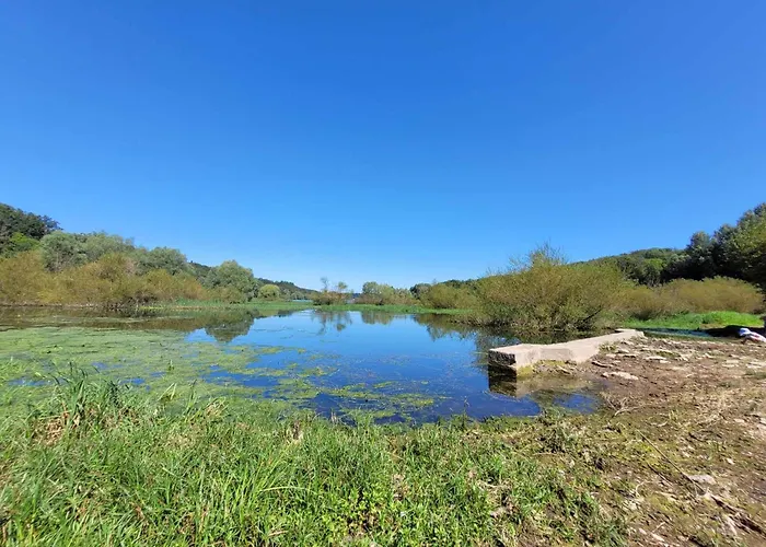 Maison Au Bord Du Lac De Saint Ciergues